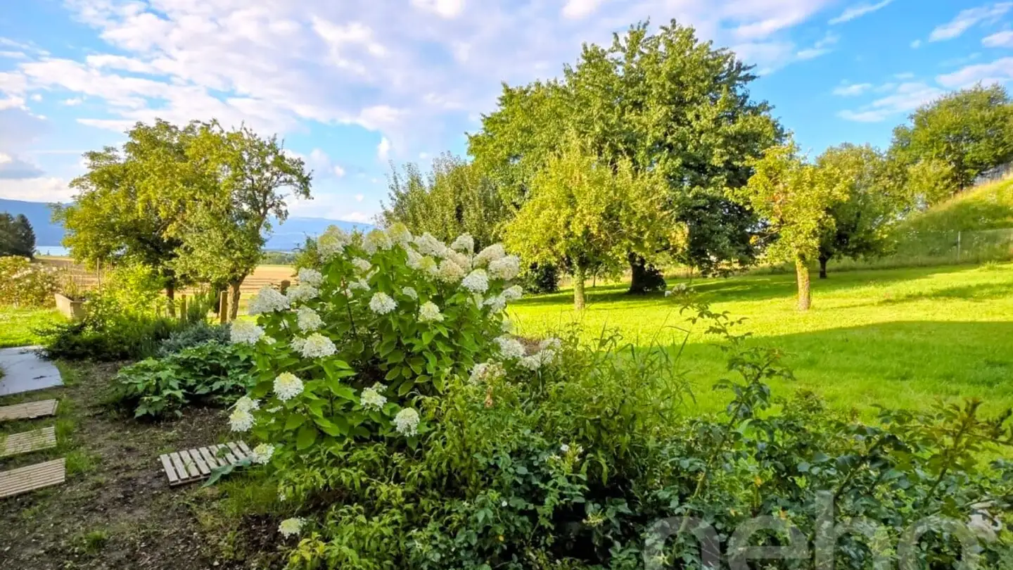 Einfamilienhaus kaufen - 1588 Cudrefin