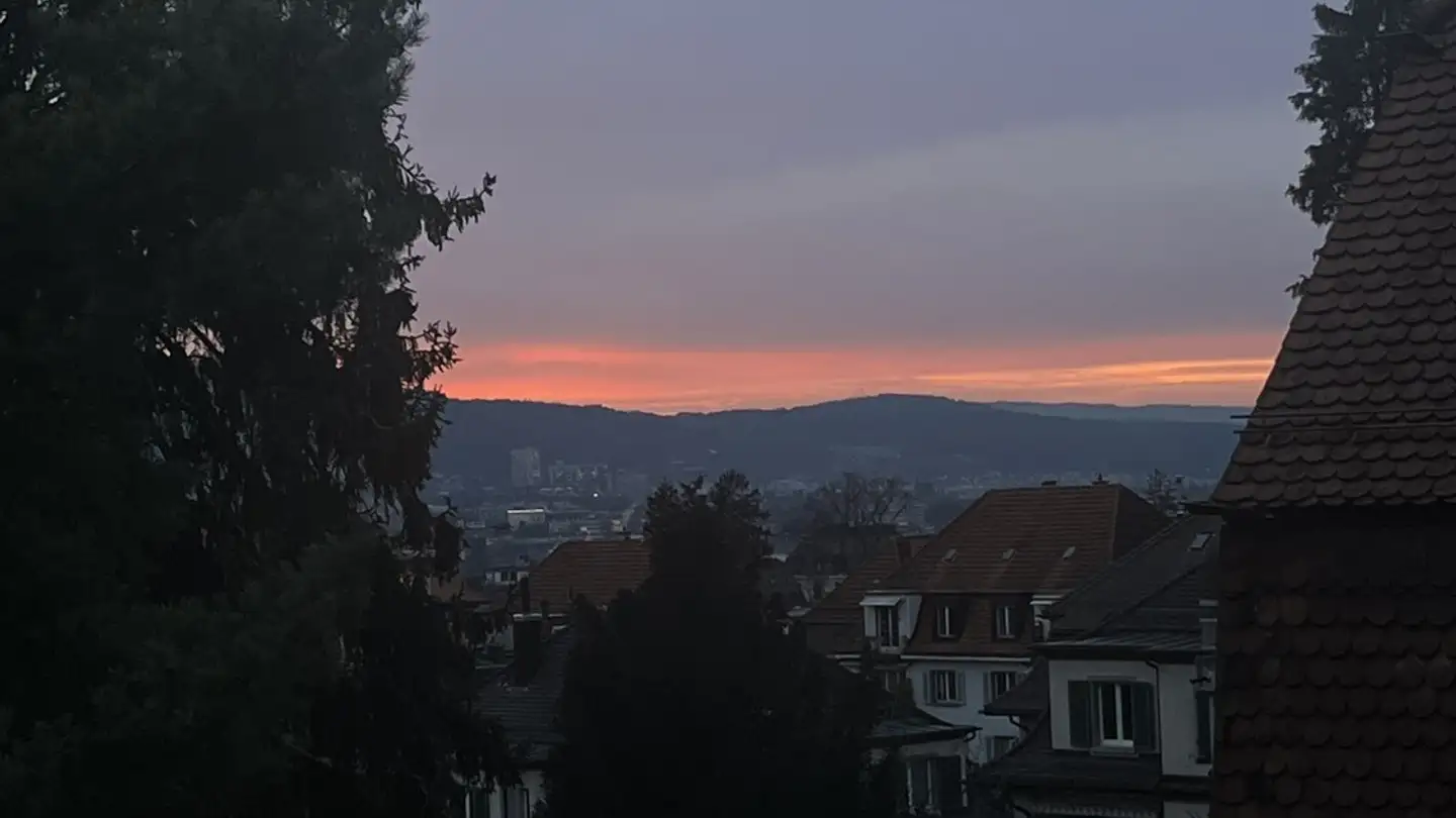 Appartamento in affitto - Witikonerstrasse, 8053 Zürich - Foto 4