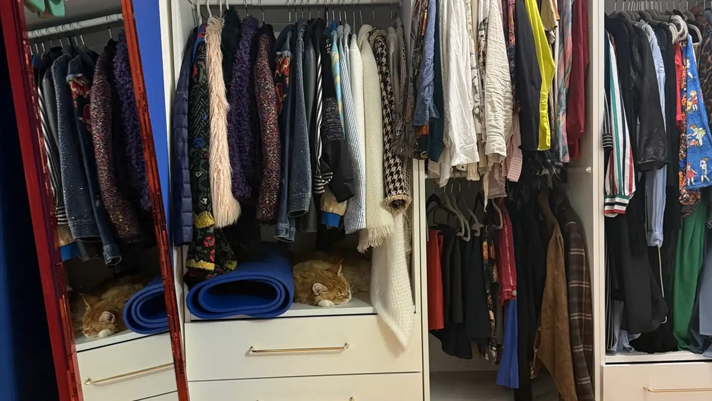 Appartamento in affitto - Witikonerstrasse, 8053 Zürich - Foto 2