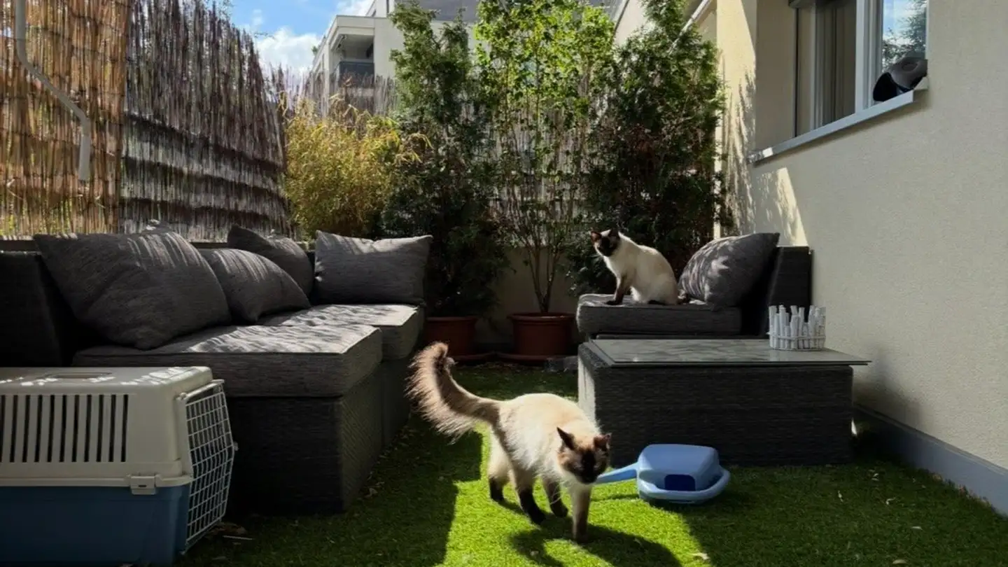 Appartement à louer - 1052 Le Mont-sur-Lausanne - Photo 2