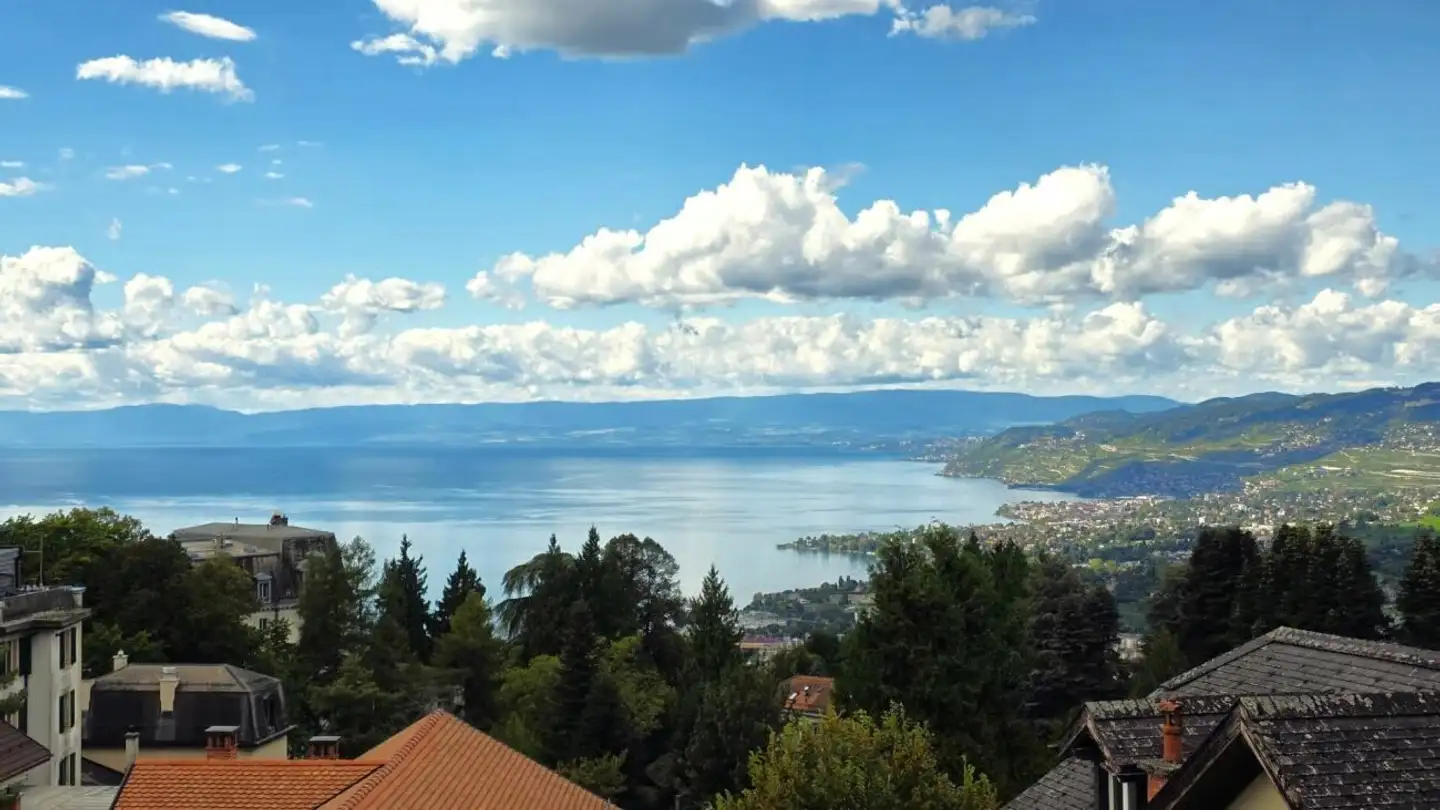 Attique à vendre - 1823 Glion - Photo 2