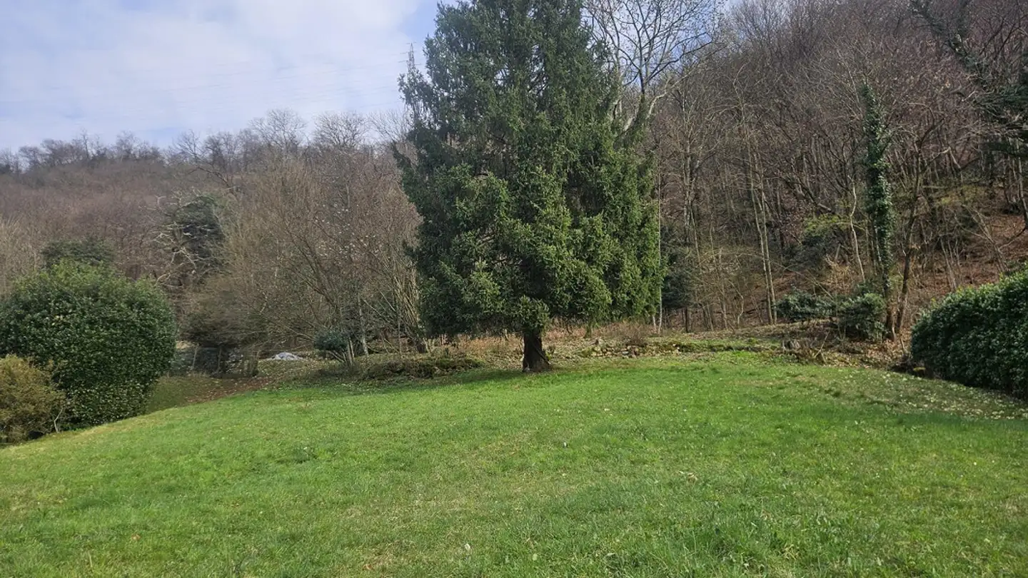 Terrain constructible à vendre - 6917 Barbengo - Photo 2