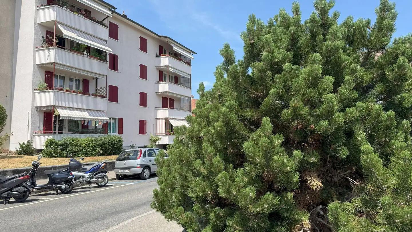 Apartment for sale - Cedernstrasse 2, 3018 Bern