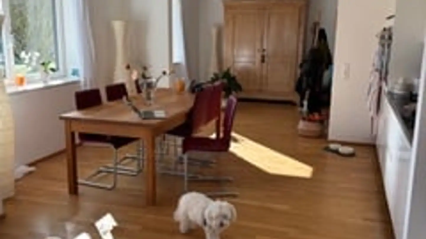 Appartamento in affitto - Rebgasse 4, 4102 Binningen - Foto 3