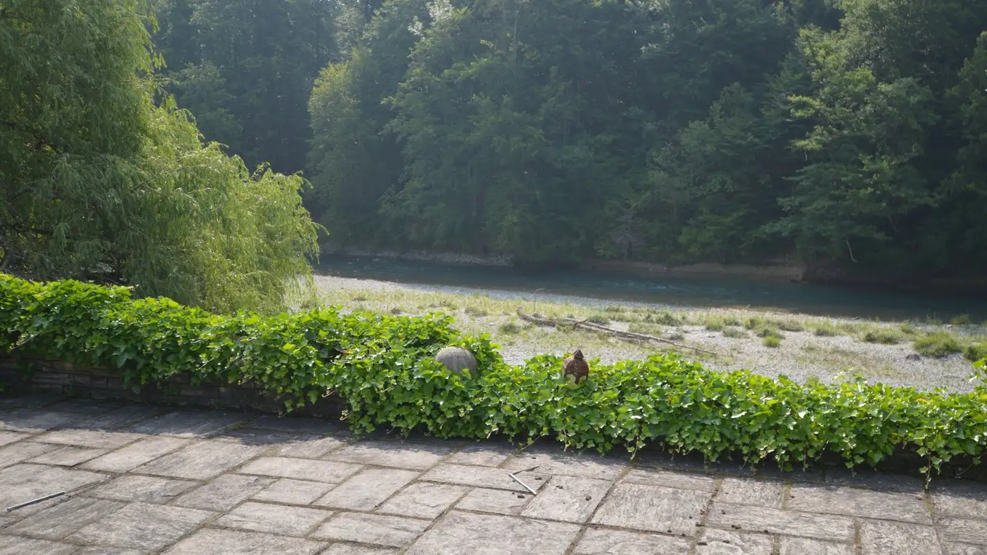 Casa singola in affitto - Aarehalde 9, 3047 Bremgarten b. Bern - Photo 4