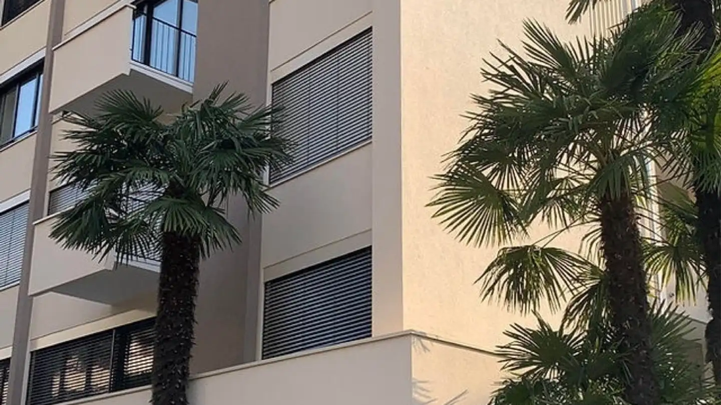 Wohnung mieten - Strada Regina 9, 6900 Lugano - Foto 2