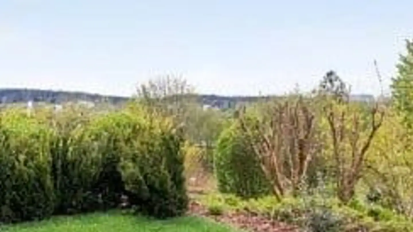 Apartment for rent - Wiesliacher, 8053 Zürich - Photo 2