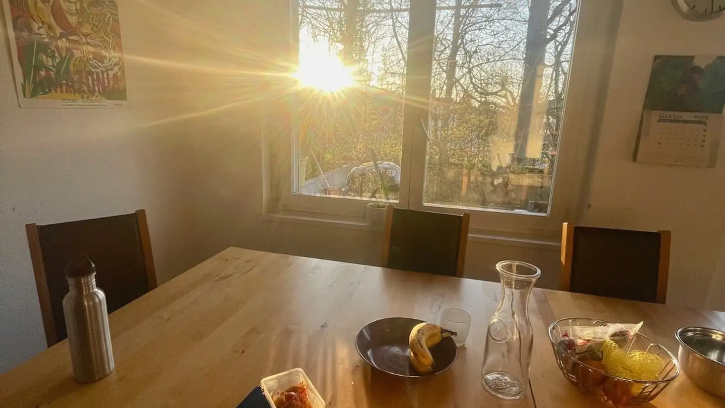 Stanza singola in affitto - 8046 Zürich