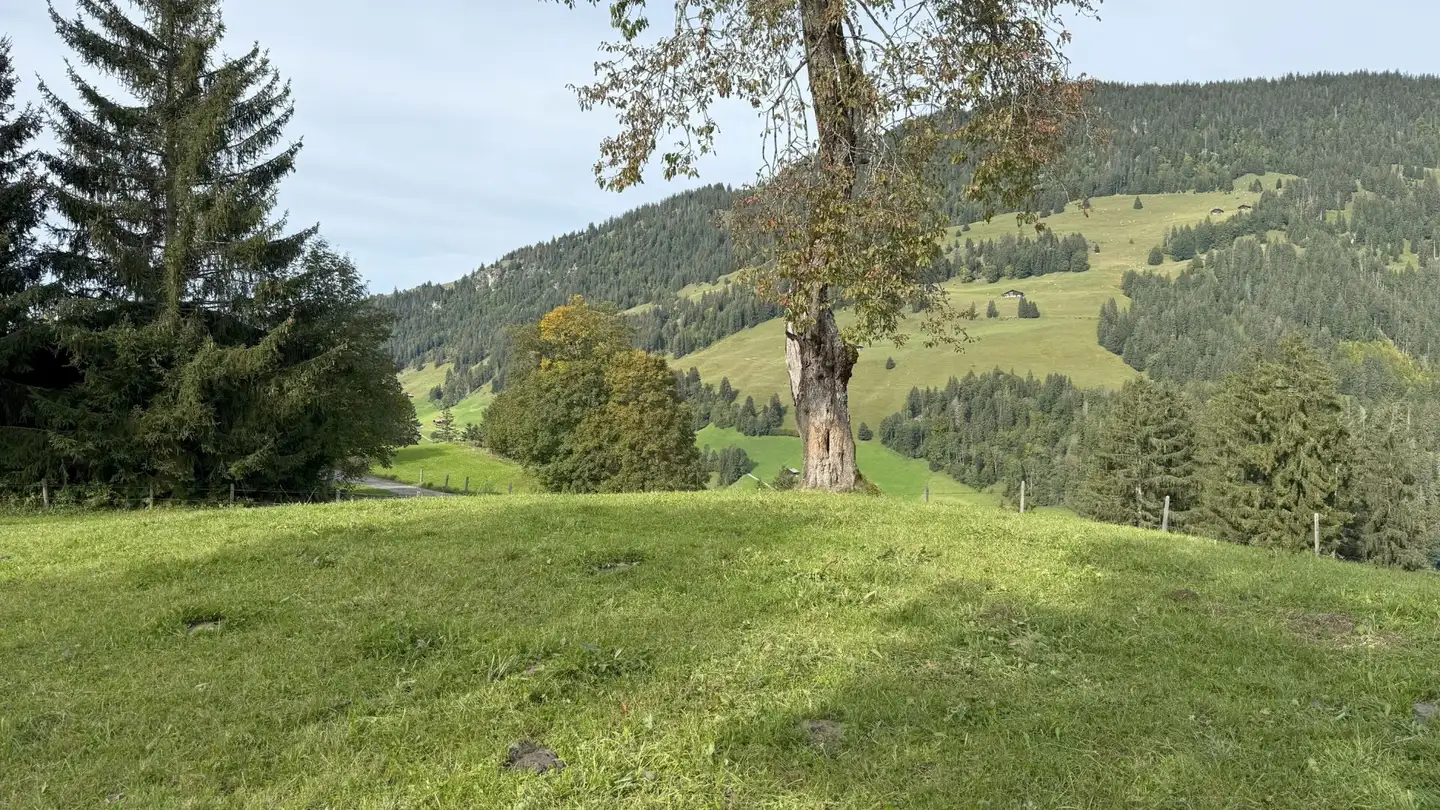 Terreno edificabile in vendita - Wyermattenstrasse, 3776 Oeschseite - Photo 4