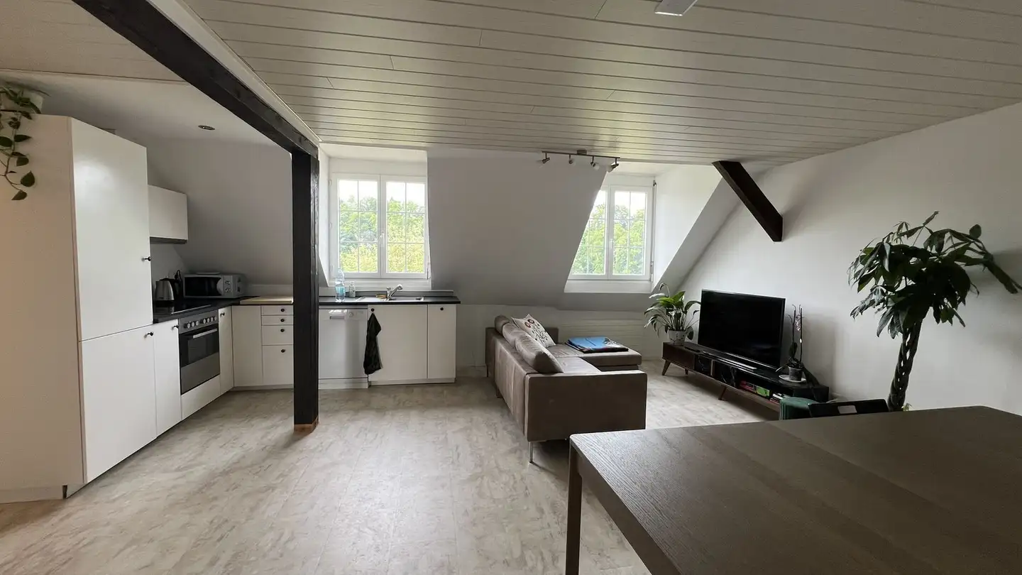 Appartement à louer - Alte Döttingerstrasse 9, 5306 Tegerfelden