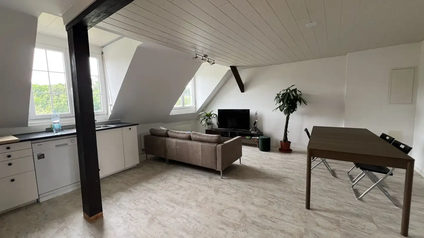 Appartement à louer - Alte Döttingerstrasse 9, 5306 Tegerfelden - Photo 3