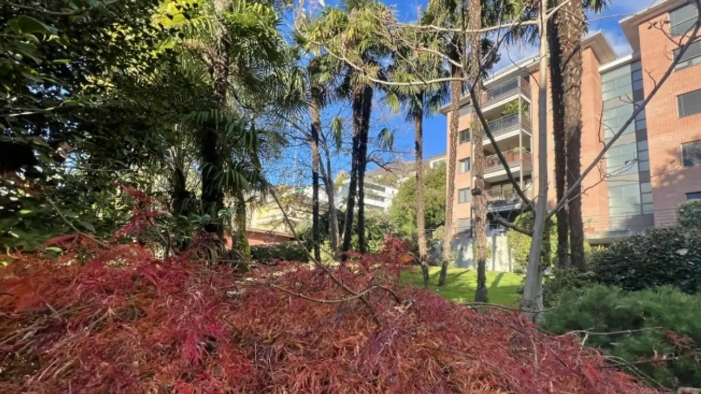 Apartment for rent - Via Sempione 4, 6600 Muralto