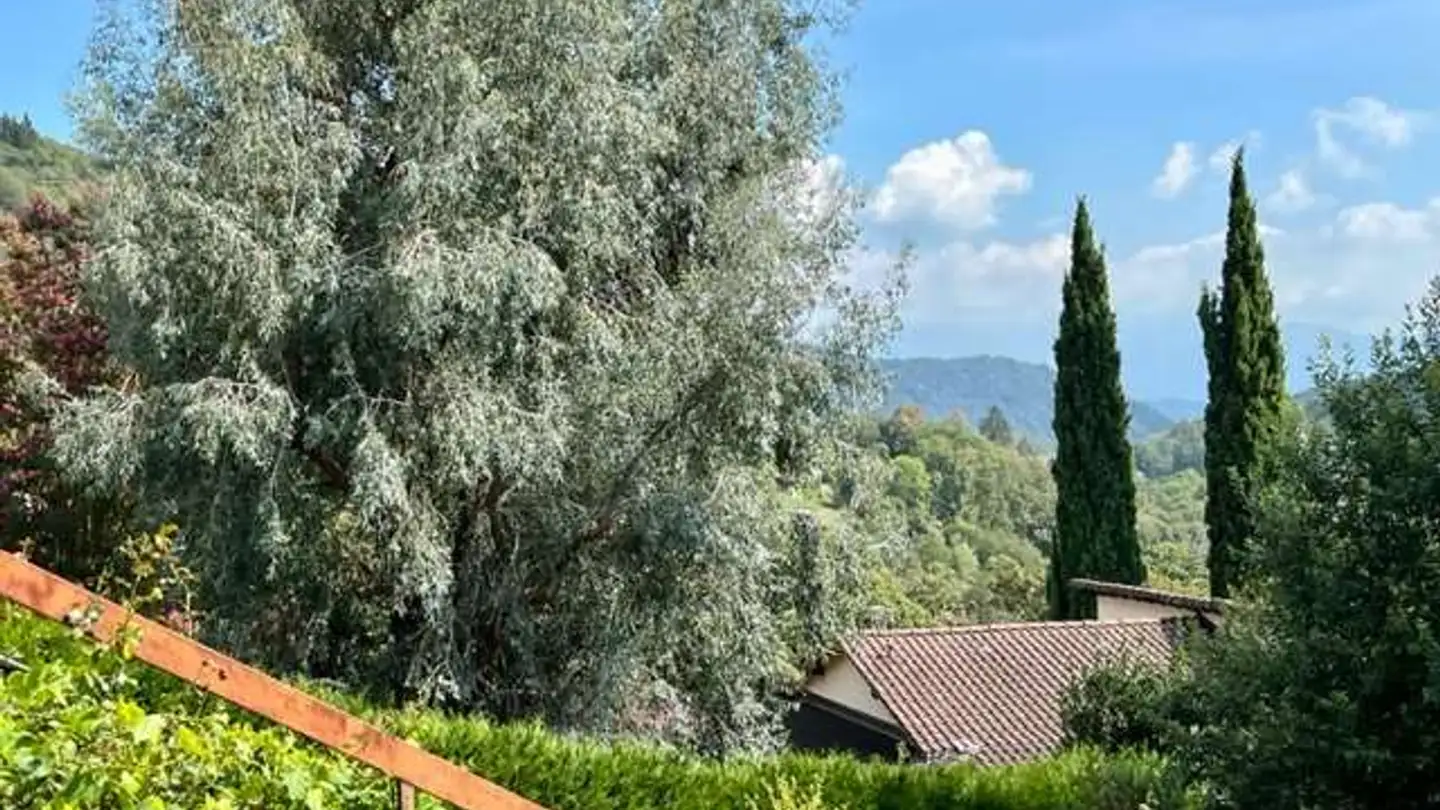 Appartement à vendre - 6981 Bedigliora - Photo 3