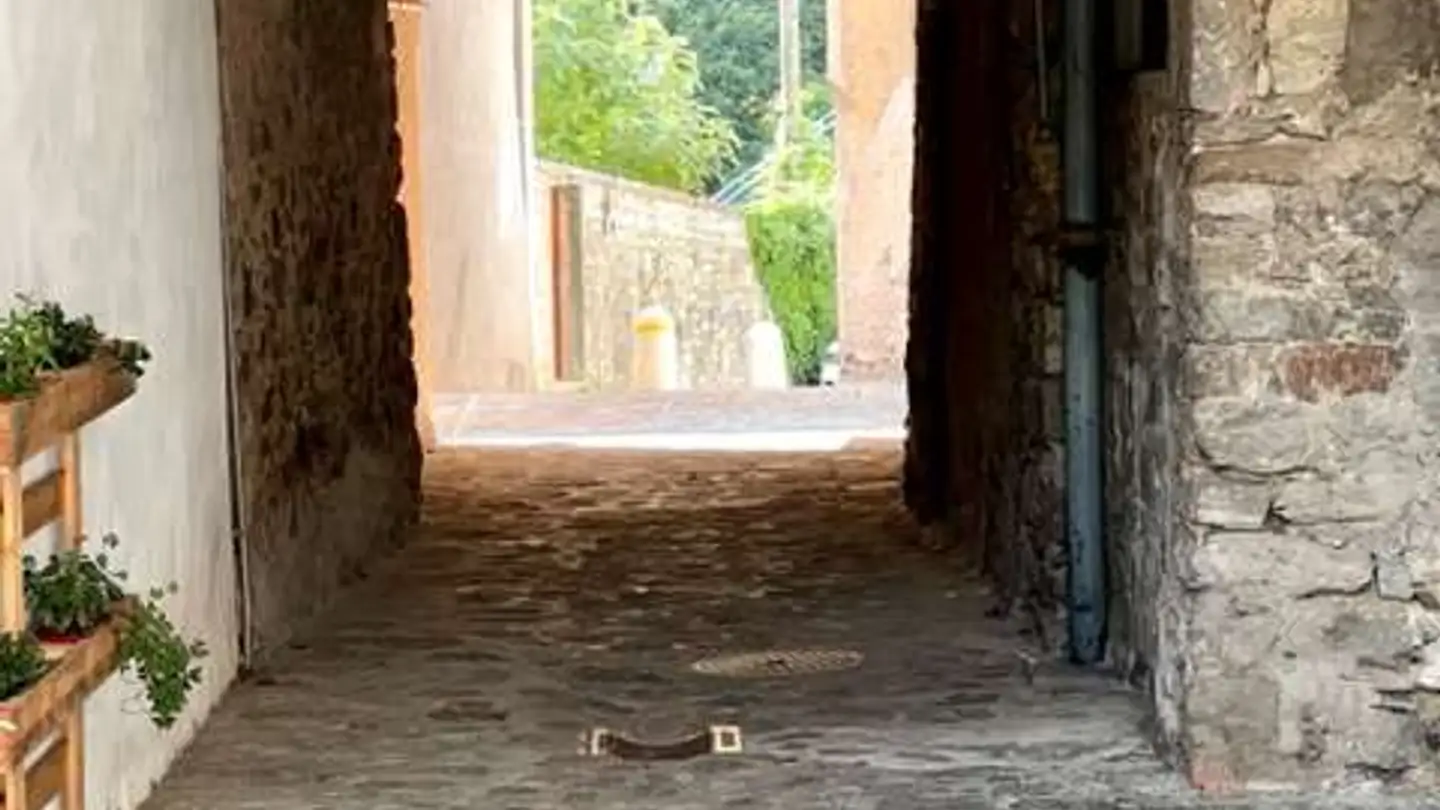 Appartement à vendre - 6981 Bedigliora - Photo 4