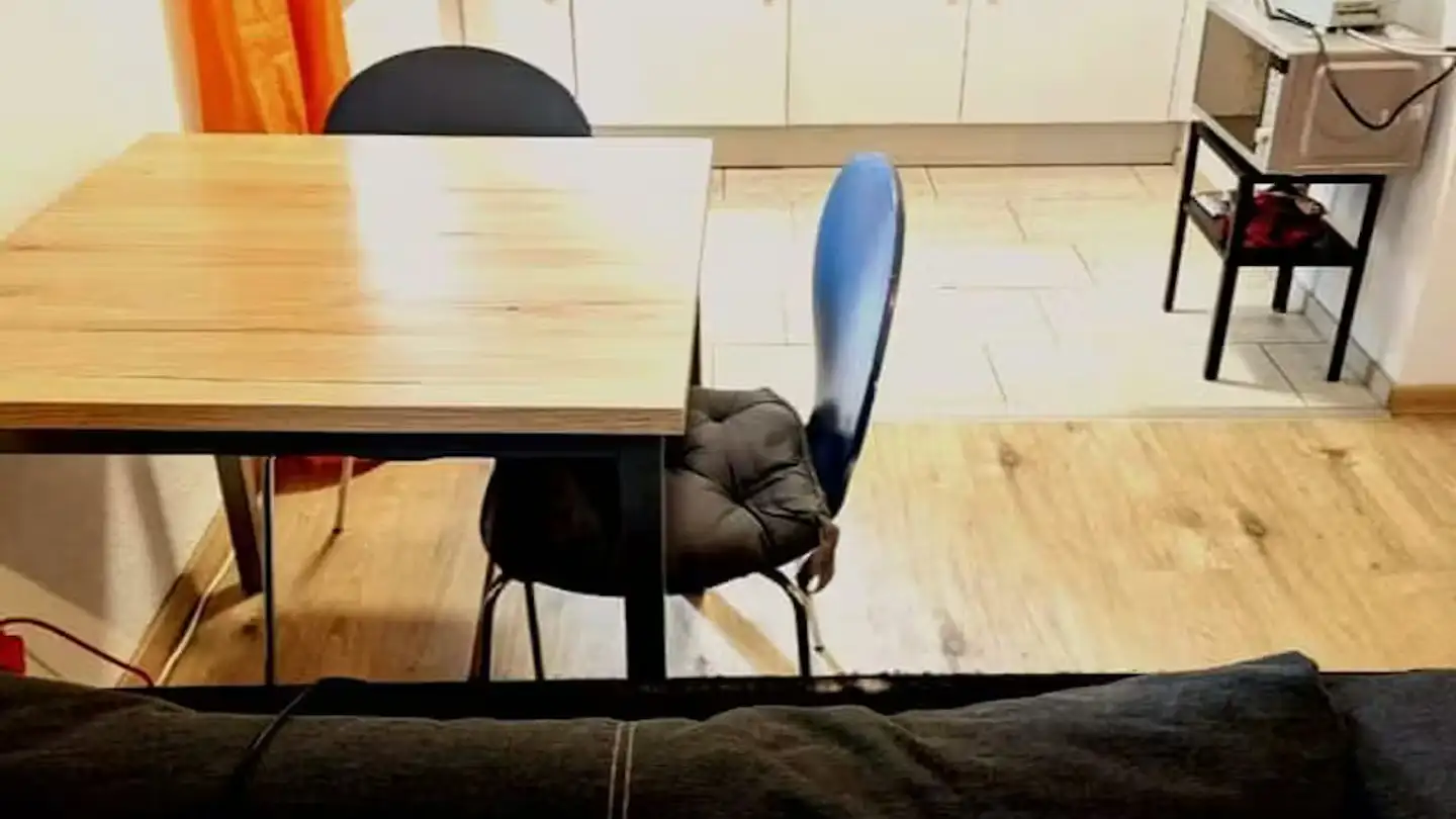 Appartement à louer - Altbergstrasse, 8953 Dietikon - Photo 4