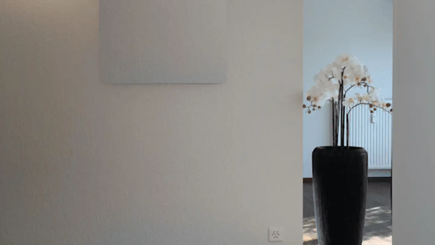 Appartement à louer - Schützenweg, 4102 Binningen