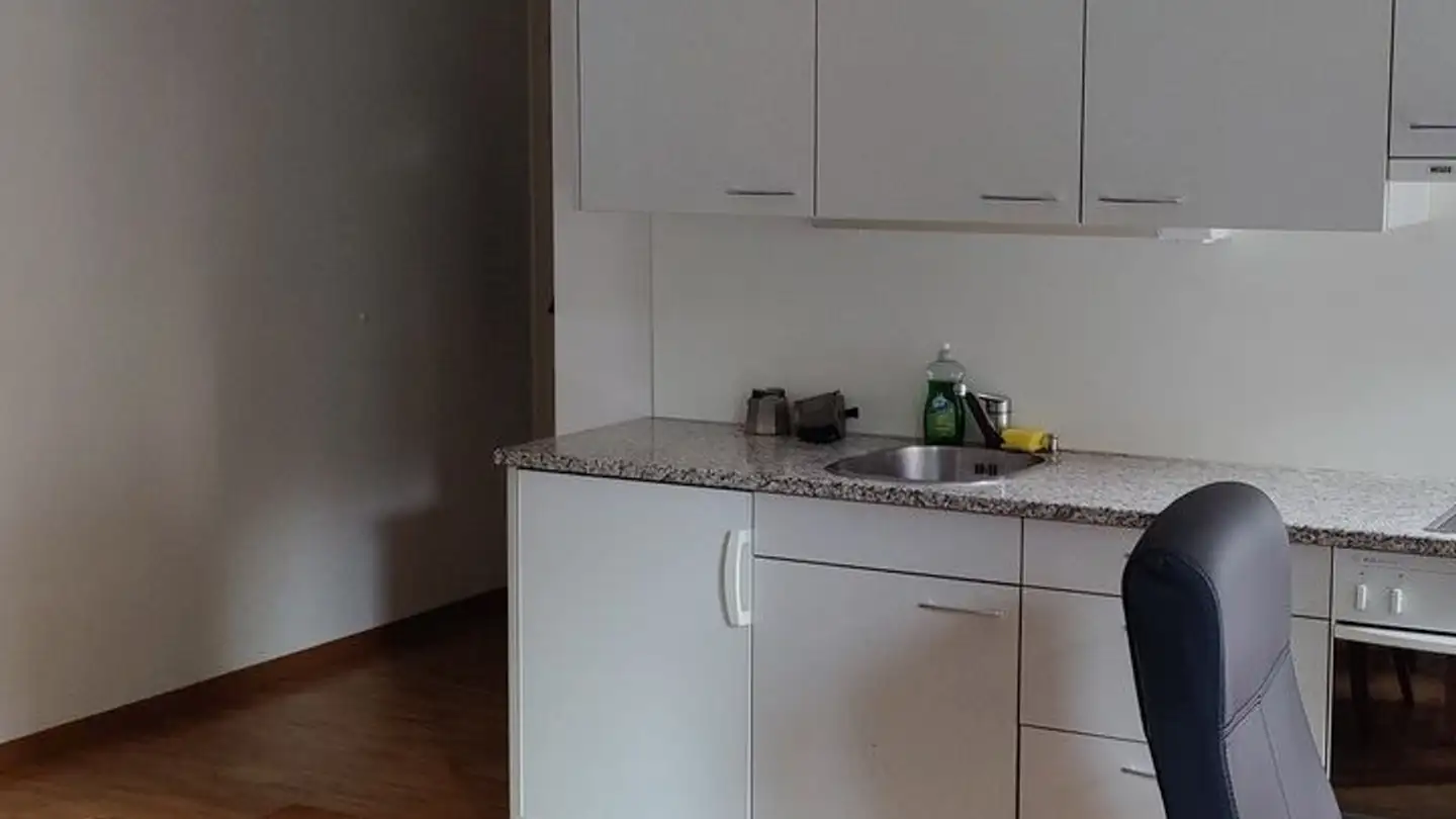 Möblierte Wohnung mieten - Lagerweg 4, 3013 Bern - Foto 2