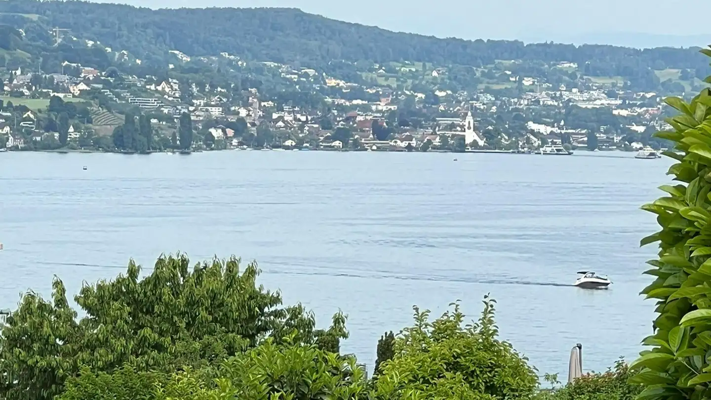 Stanza singola in affitto - 8942 Oberrieden - Foto 2