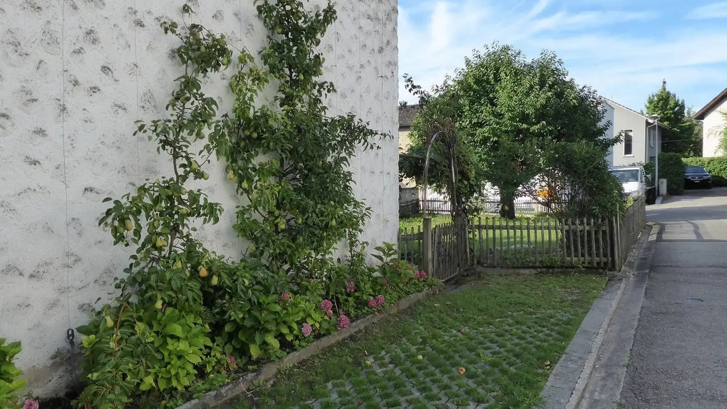Maison en terrasse à louer - Zugerstrasse 101, 6330 Cham - Photo 2