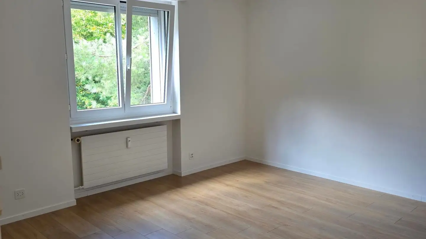 Appartamento in affitto - Birsackerweg 2, 4203 Grellingen - Foto 3