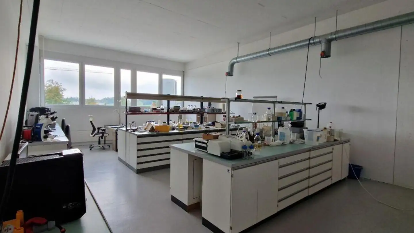 Laboratorio in affitto - Industriestrasse 15, 8355 Aadorf - Photo 3