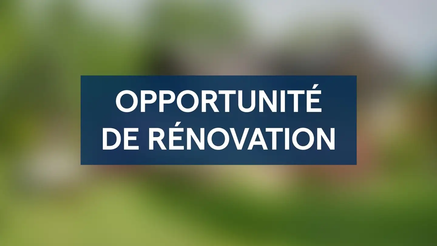 Maison individuelle à vendre - 1863 Le Sépey