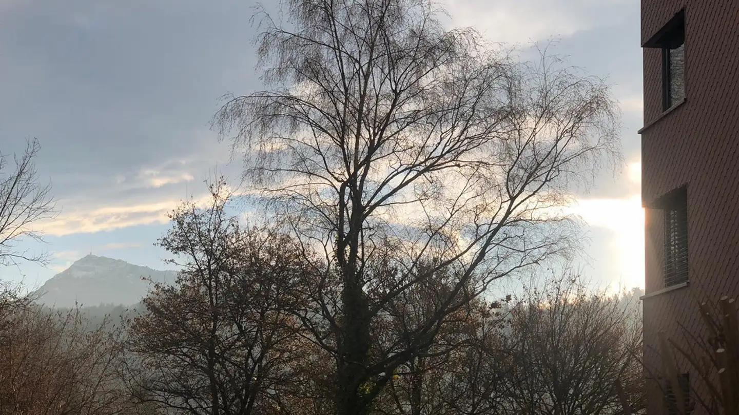 Appartement à vendre - Meiersmattstrasse 5, 6043 Adligenswil