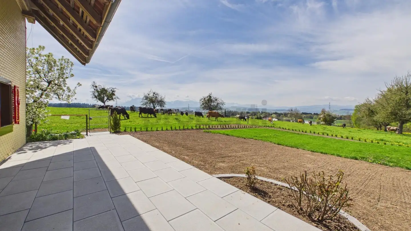 Fattoria in affitto - 6222 Gunzwil