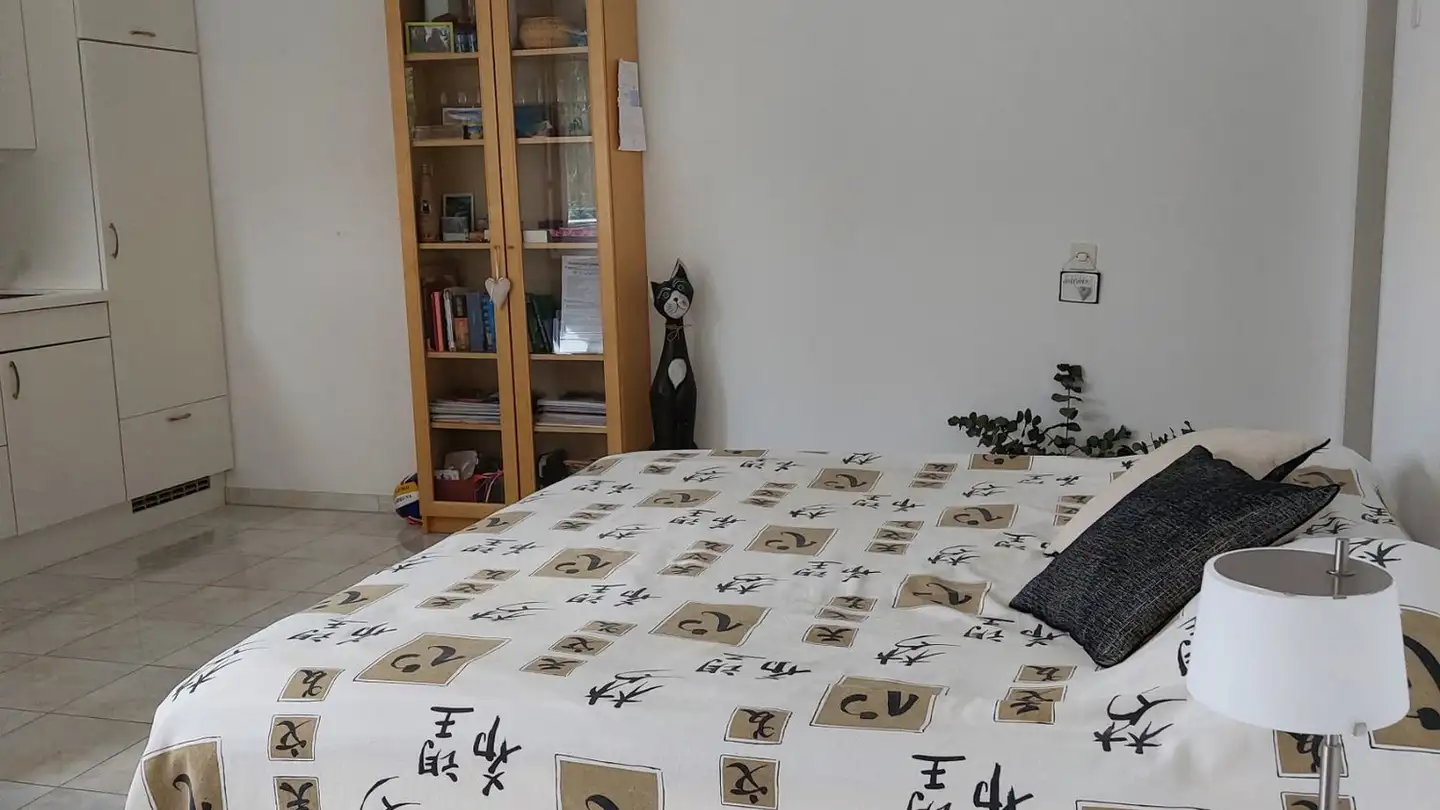 Appartamento in affitto - Via Pancaldi-Mola, 6612 Ascona - Foto 2