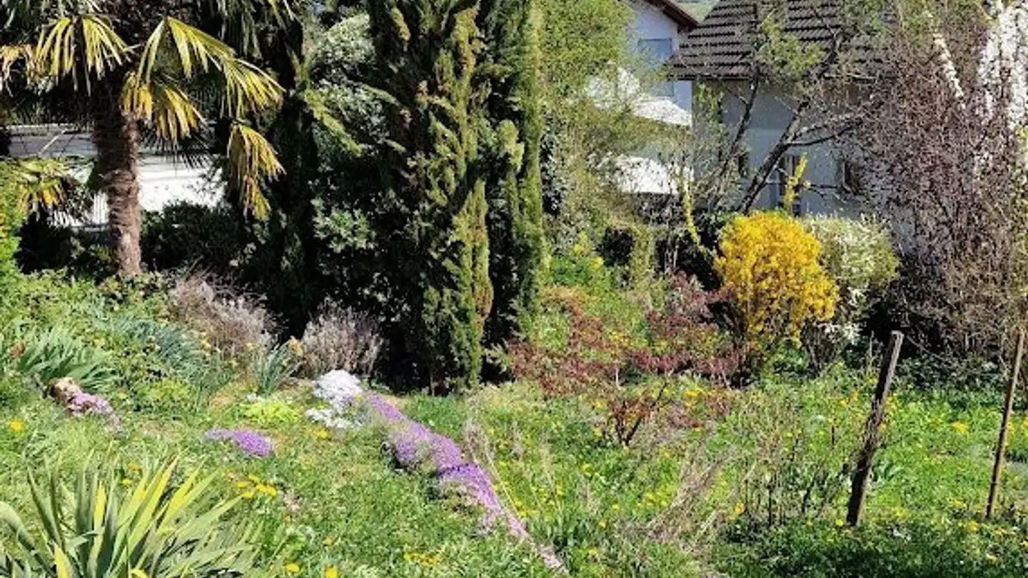 Single house for rent - Kirschgartenstrasse, 4402 Frenkendorf - Photo 3