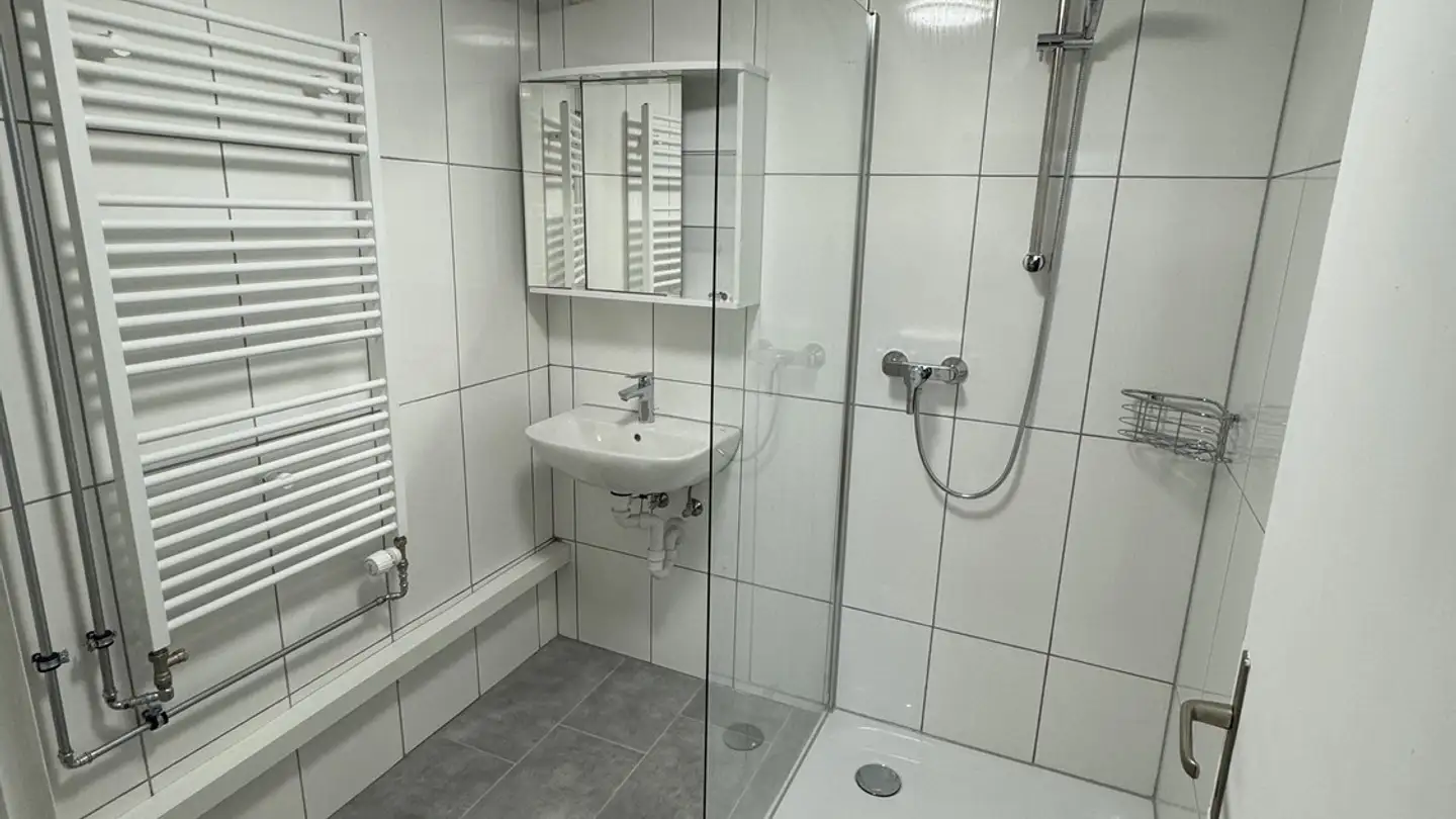 Apartment for rent - 5325 Leibstadt