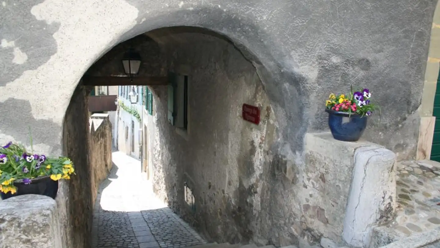 Appartamento in affitto - Passage Des Vignerons 2, 1071 St-Saphorin (Lavaux)