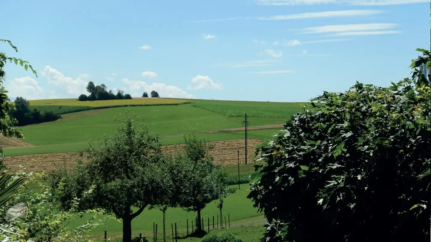 Appartamento in affitto - Meikirchstrasse 60, 3042 Ortschwaben - Photo 2