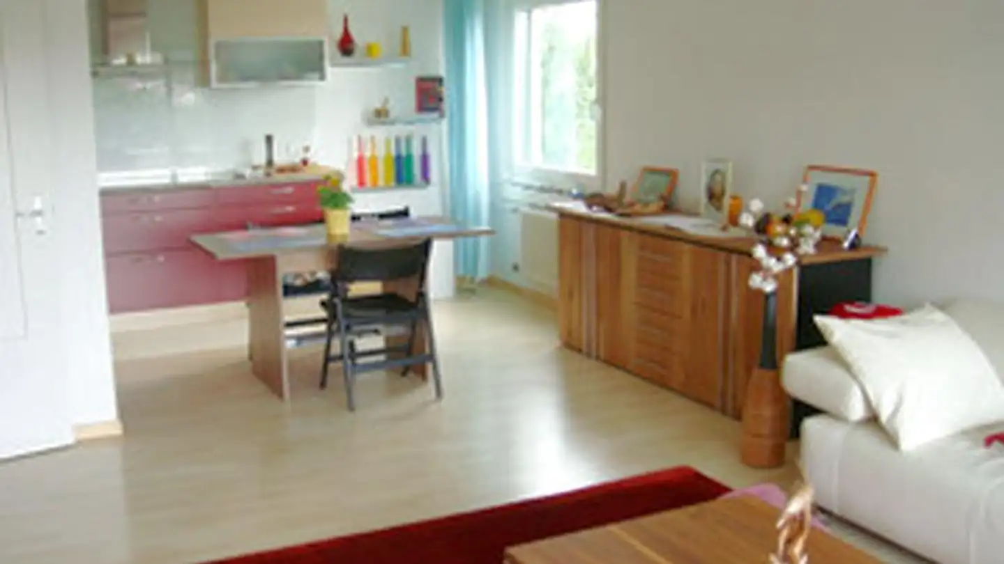 Möblierte Wohnung mieten - 6015 Luzern