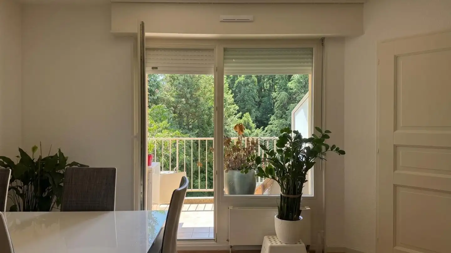Appartamento in affitto - 1292 Chambésy - Foto 4