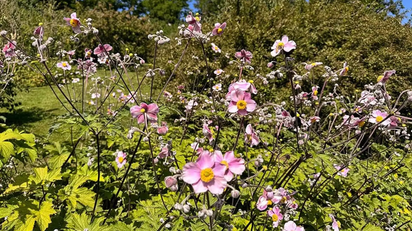 Maison individuelle à vendre - 1052 Le Mont-sur-Lausanne
