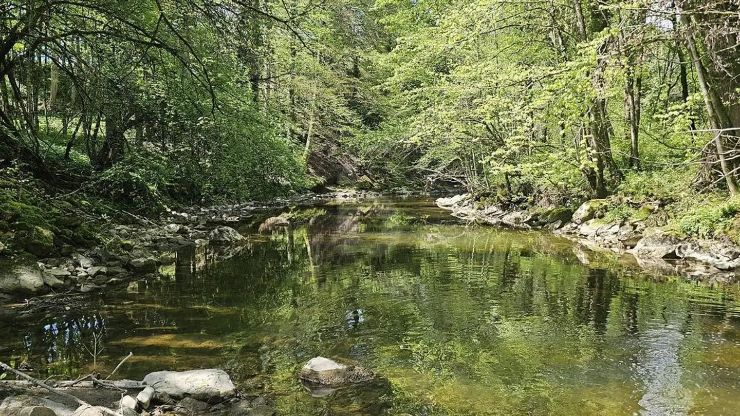 Casa grotta in vendita - Route Des Tavernes, 1607 Les Thioleyres - Photo 2