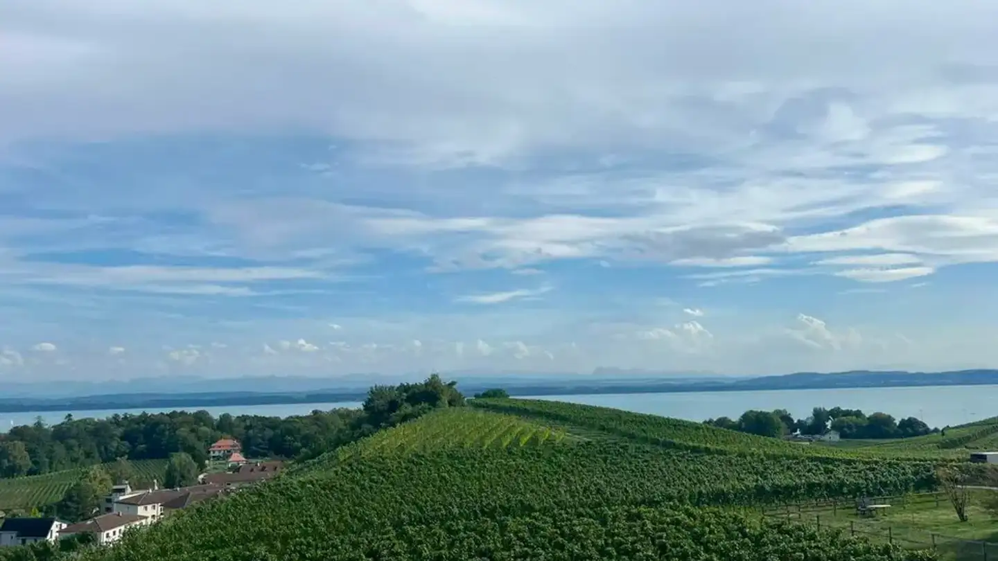 Casa singola in affitto - Route De Sachet, 2016 Cortaillod - Foto 2