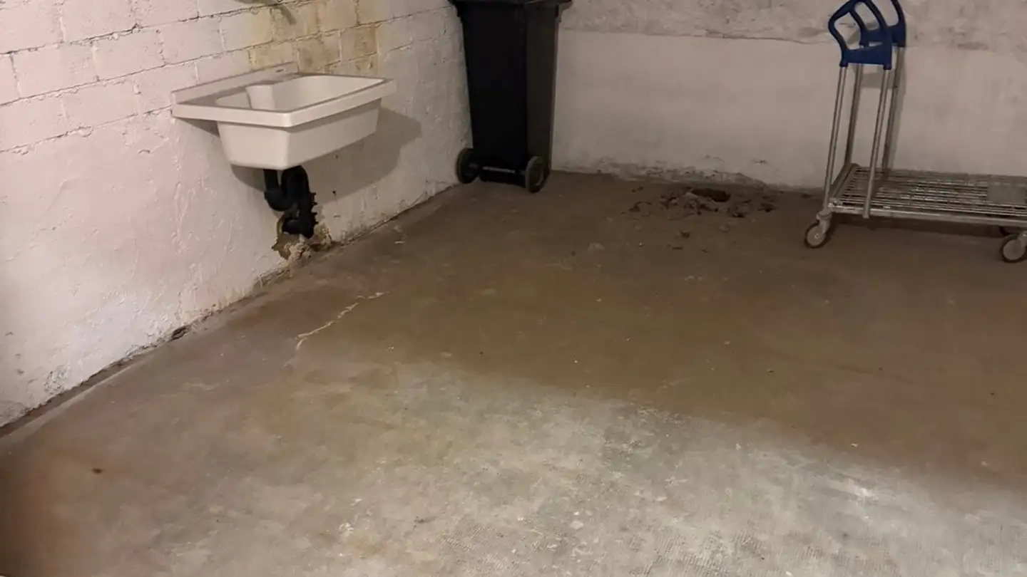 Appartamento in affitto - 1205 Genève - Foto 3