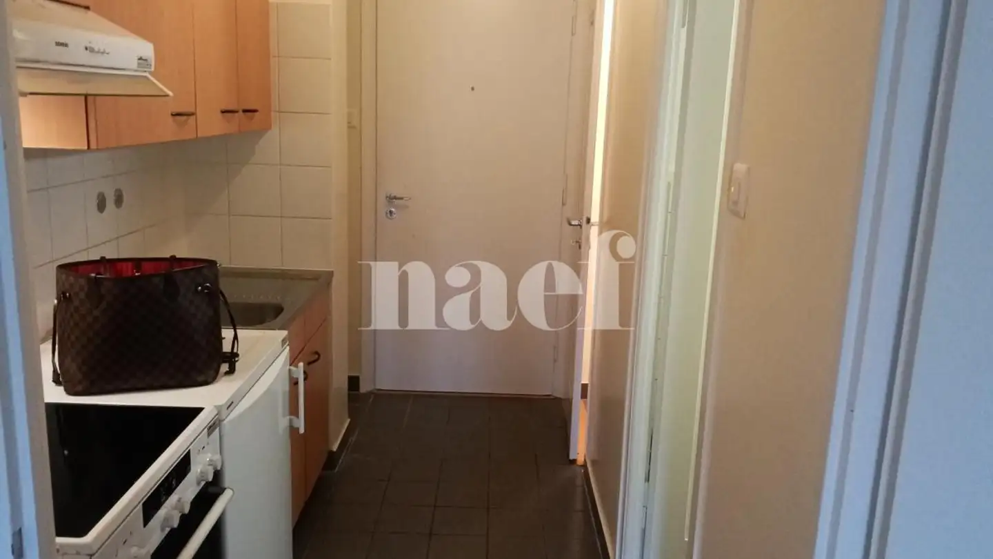 Studio in affitto - Rue Du Vidollet 21, 1202 Genève - Foto 2