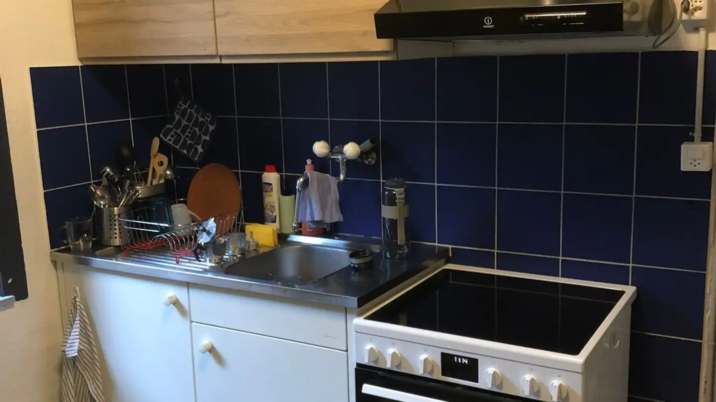 Appartamento in affitto - Oberer Deutweg 36, 8400 Winterthur - Foto 4