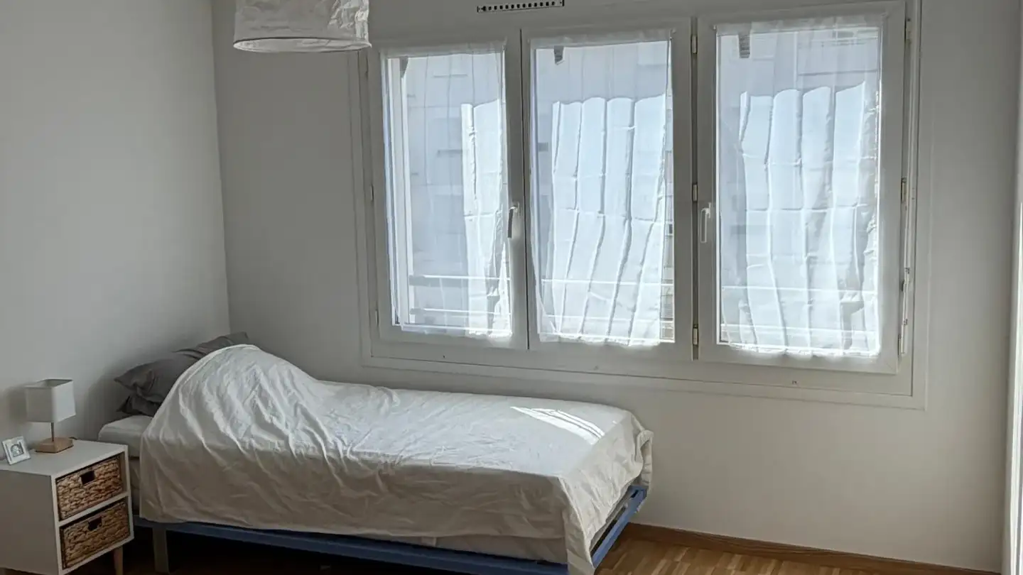 Appartamento in affitto - Rue Daniel- Gevril, 1227 Carouge GE
