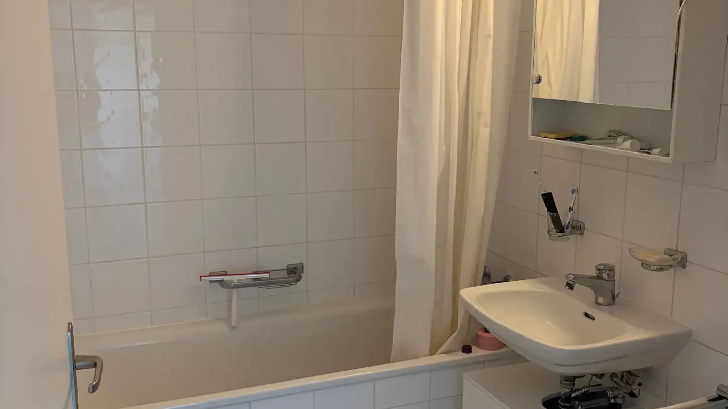 Appartamento in affitto - Rue Daniel- Gevril, 1227 Carouge GE - Foto 3