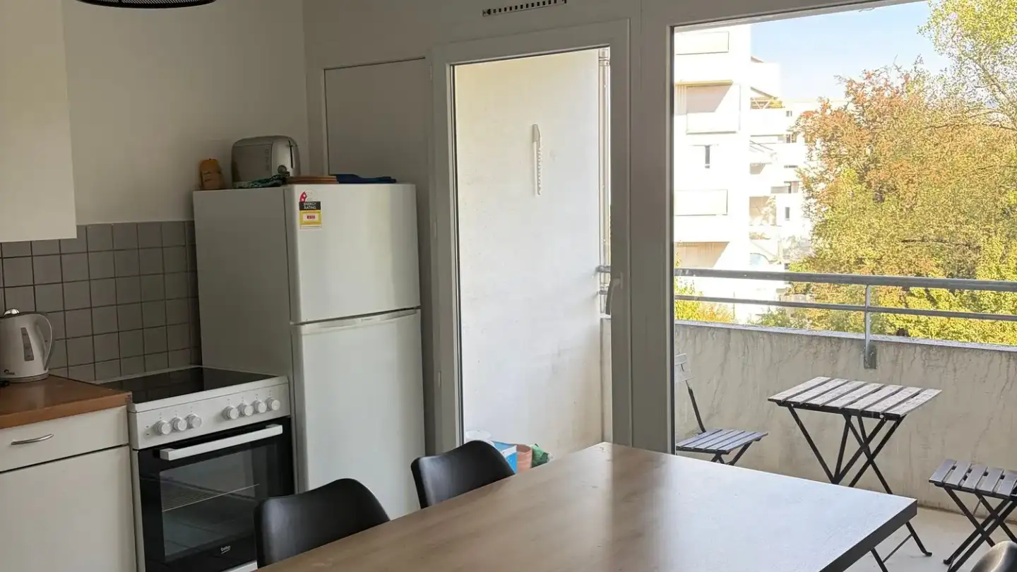 Appartamento in affitto - Rue Daniel- Gevril, 1227 Carouge GE - Foto 4