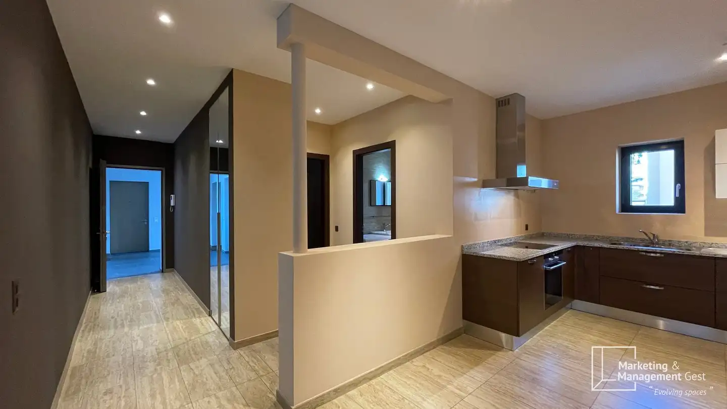 Stepped apartment for rent - Via Del Canvetto 1, 6900 Lugano