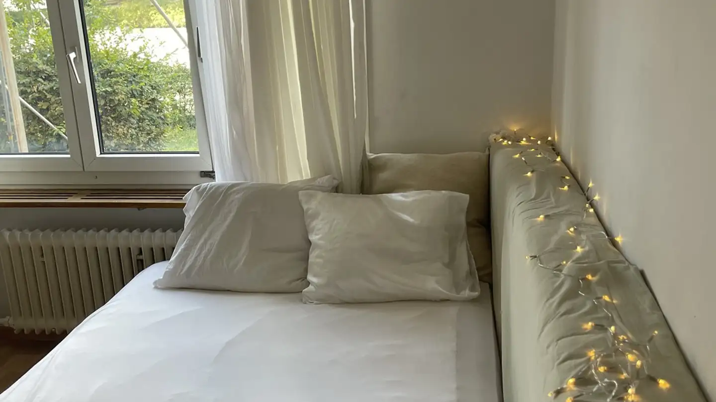 Single room for rent - Manessestrasse, 8045 Zürich