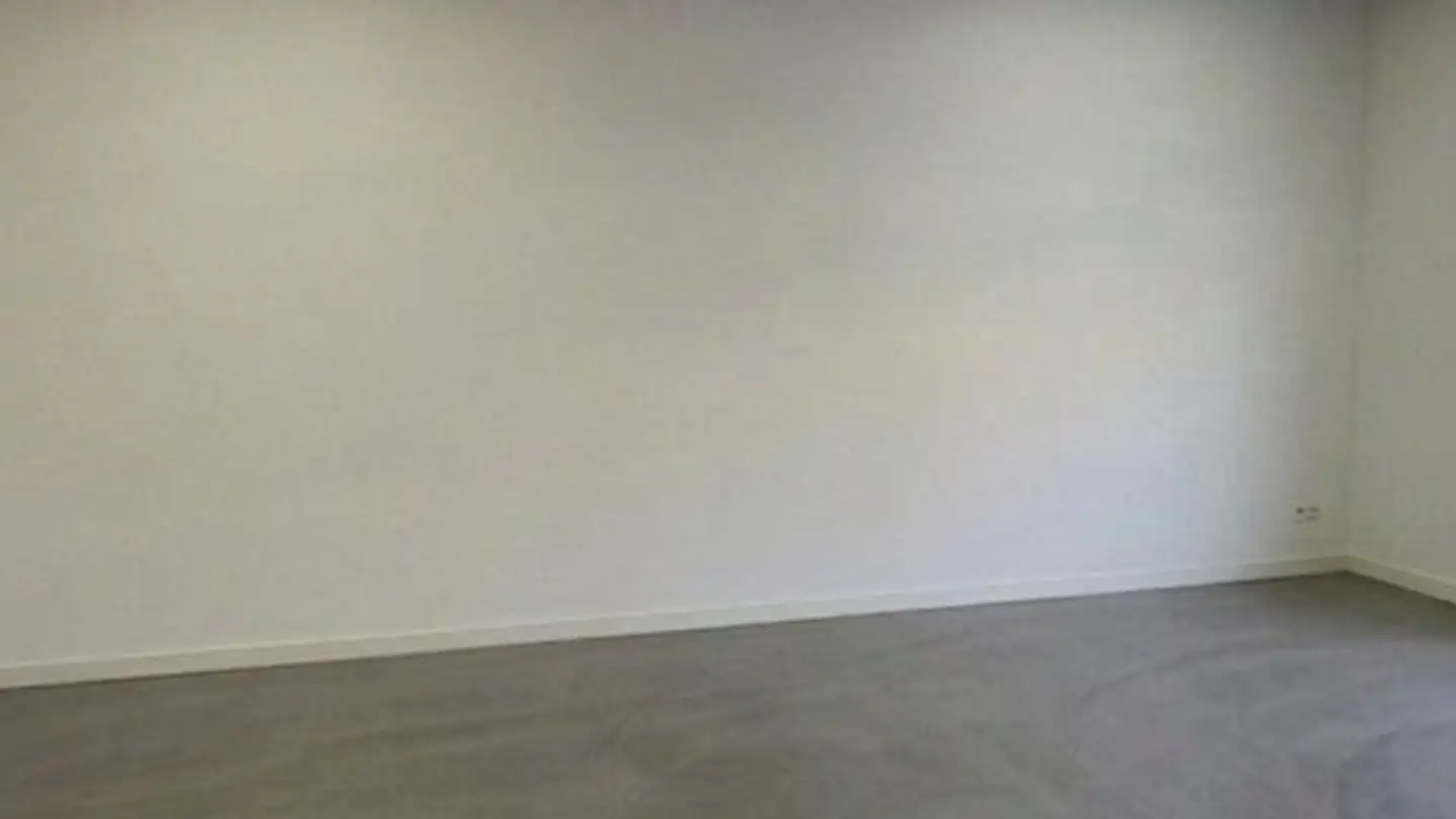 Gewerbe mieten - Haldenstrasse 26b, 8306 Brüttisellen