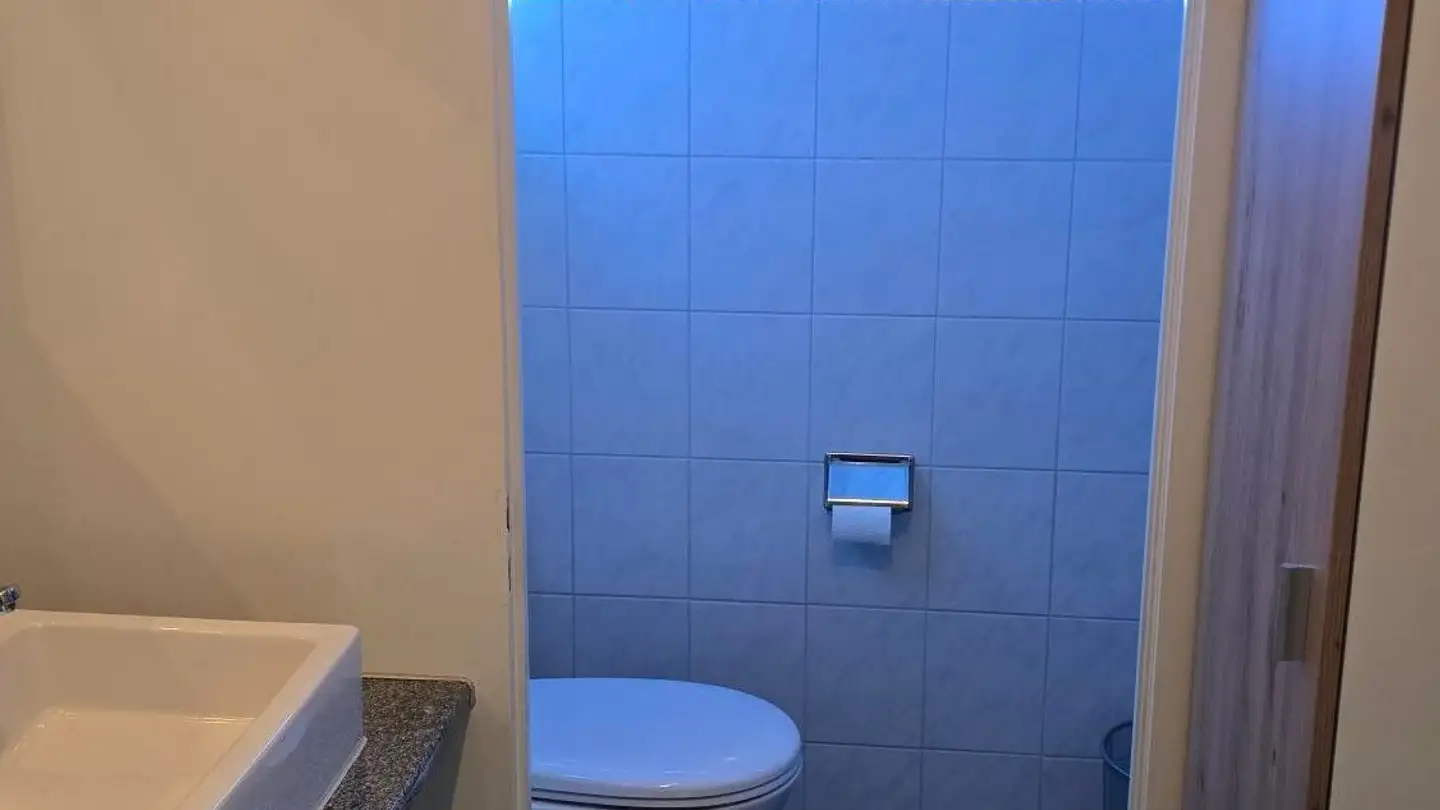 Gewerbe mieten - Haldenstrasse 26b, 8306 Brüttisellen - Foto 3