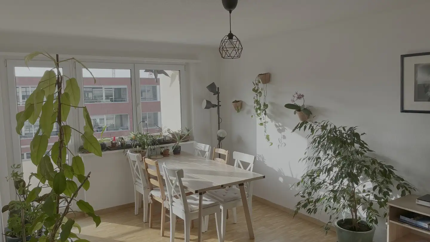 Stanza singola in affitto - 8051 Zürich - Foto 2