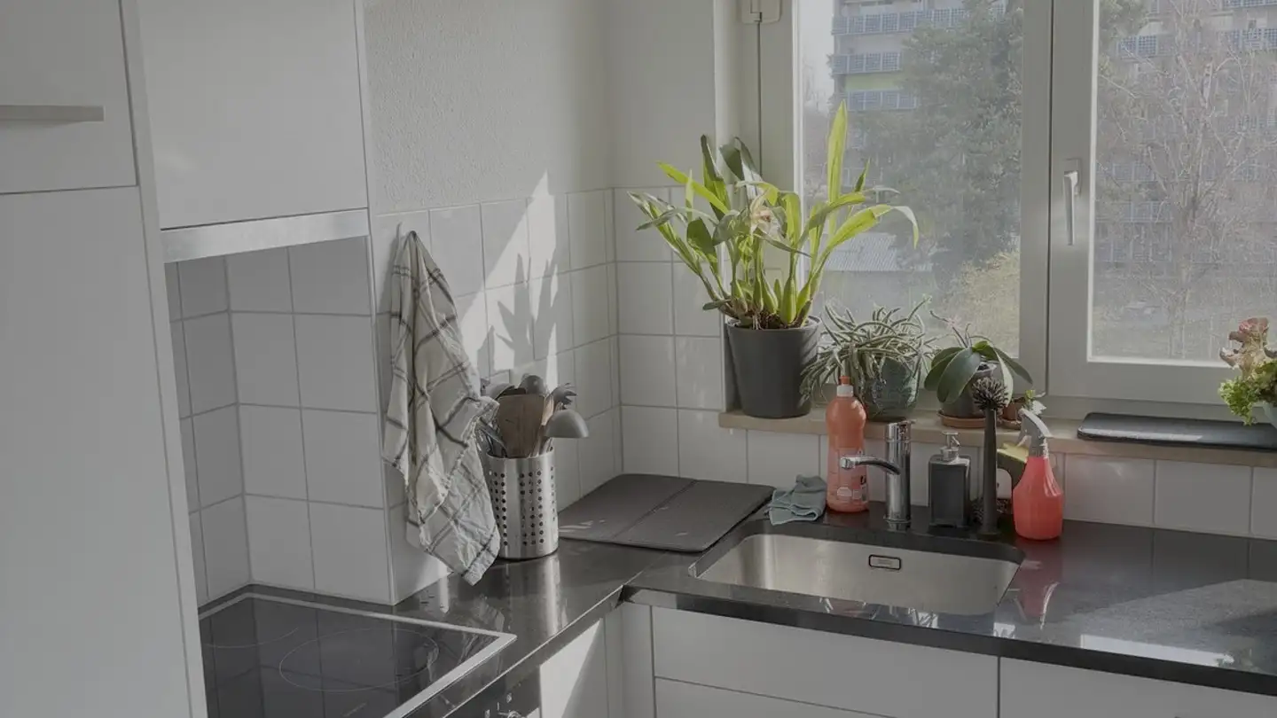 Stanza singola in affitto - 8051 Zürich - Foto 3